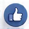 Icon representing liking a Facebook page.